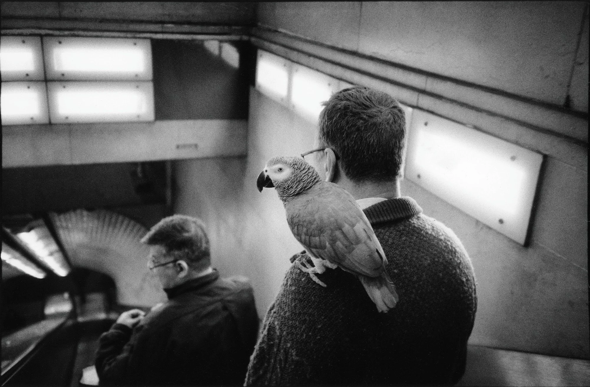 street photography homme avec perroquet dans le métro parisien noir et blanc