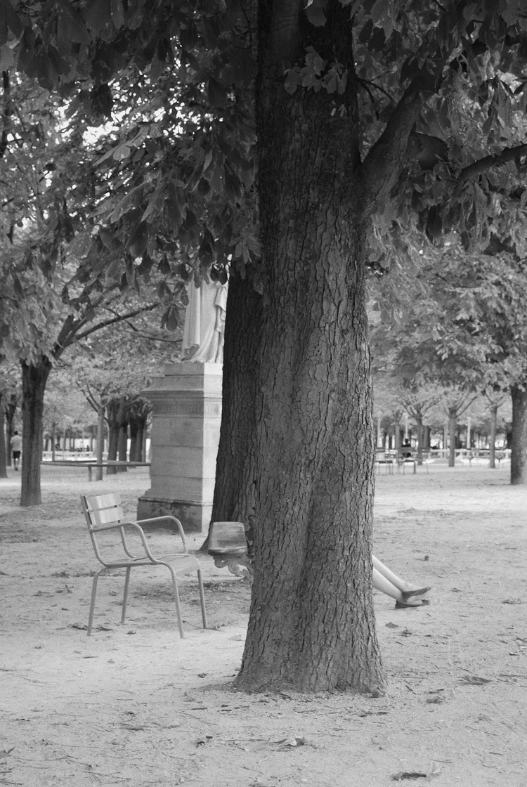 street photography jambes femme cachée par un arbre