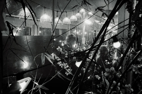 restaurant vitre nuit lumieres